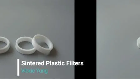 Filtro a cartuccia per acqua sinterizzata in polvere di plastica ultra polimerica PE PTFE PA PP da 0,5 ~ 100 micron con vari design di filtri a pieghe/asta/compressa/tubo/disco